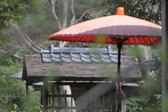 野点傘の向こう