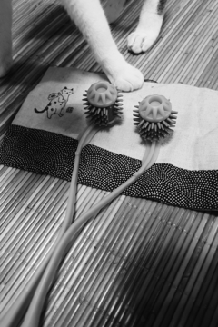 私のお気に入り