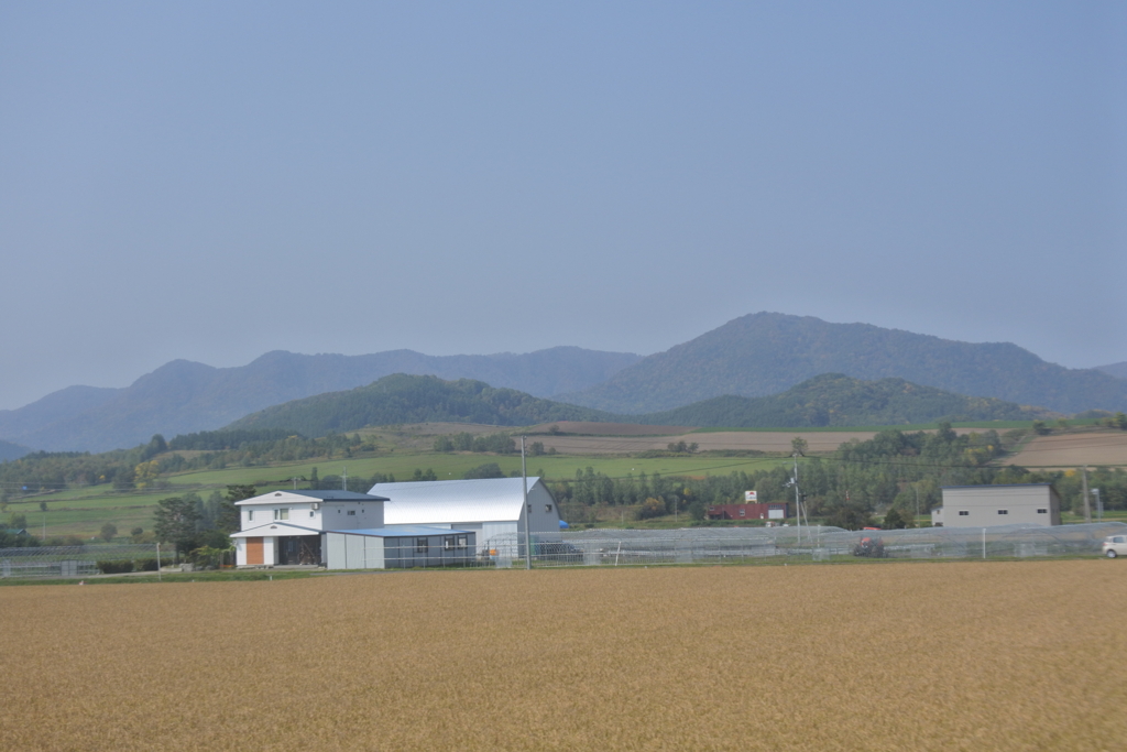 霧がだいぶ晴れてきた