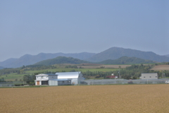 霧がだいぶ晴れてきた