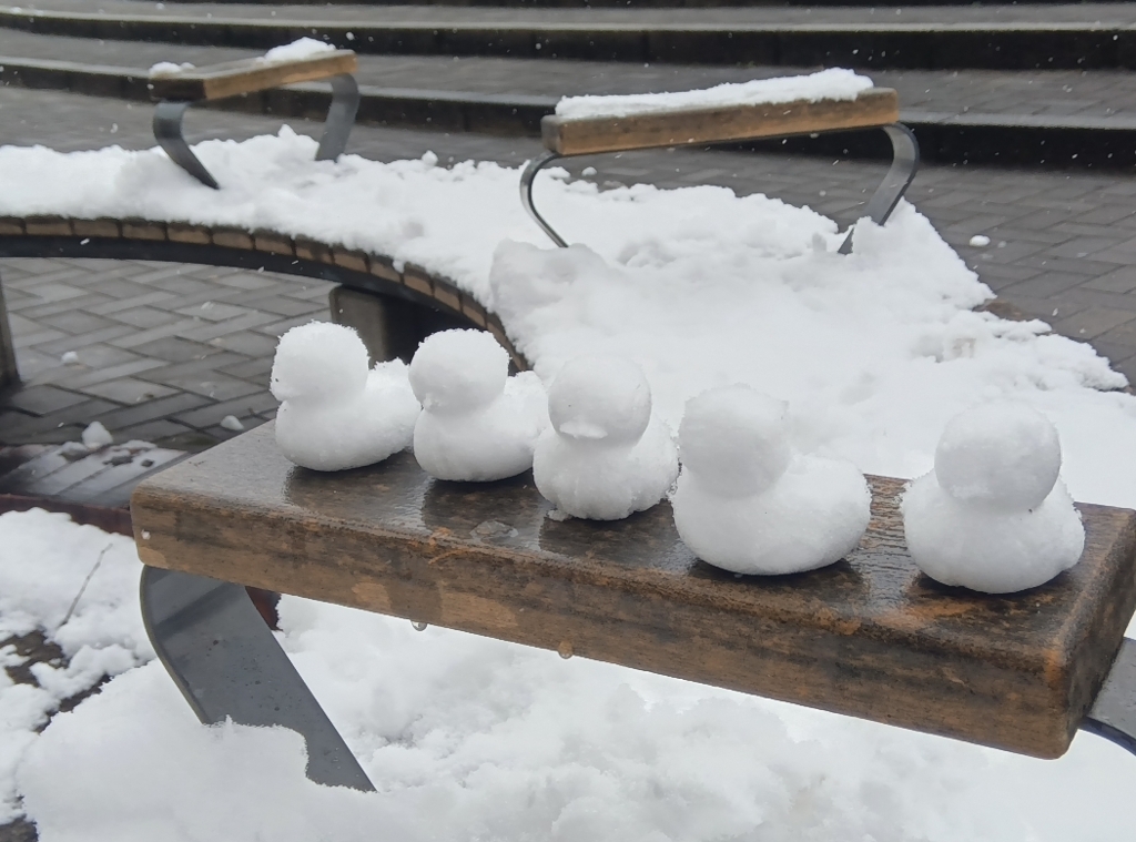 公園のベンチに並ぶ鳥たち