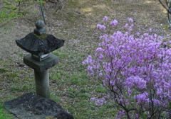 桃源郷をご一緒に　向久保日向薬師の灯籠