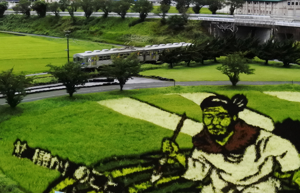 田んぼアートと弘南鉄道