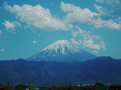信玄ソフト