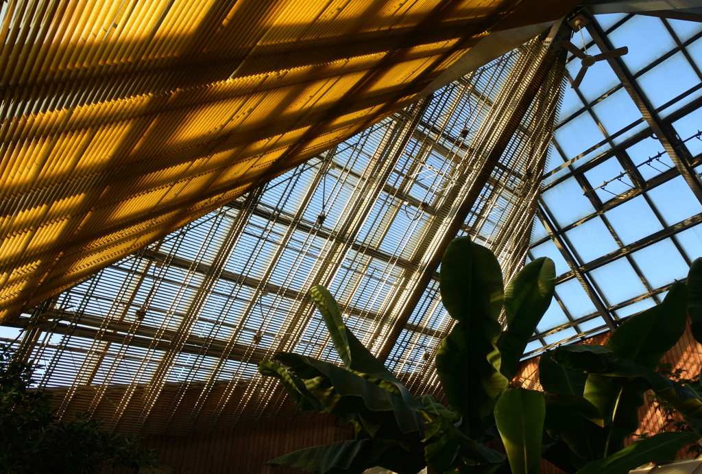温室の屋根