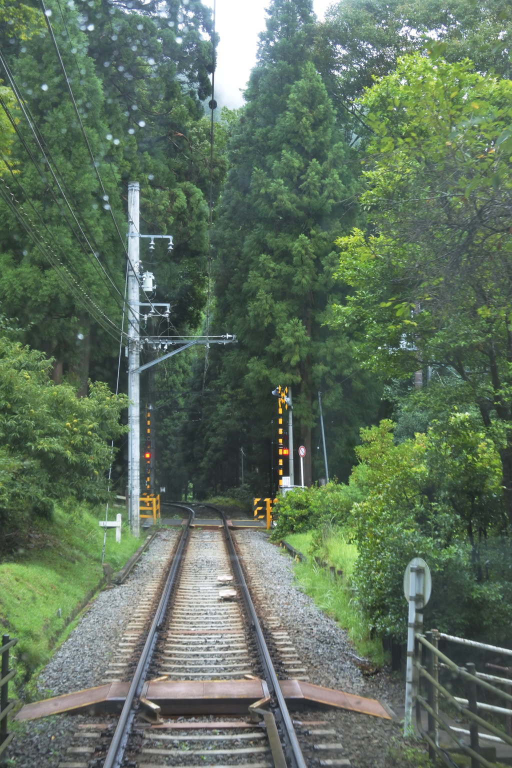 山に分け入る