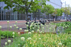 旭川駅前の公園