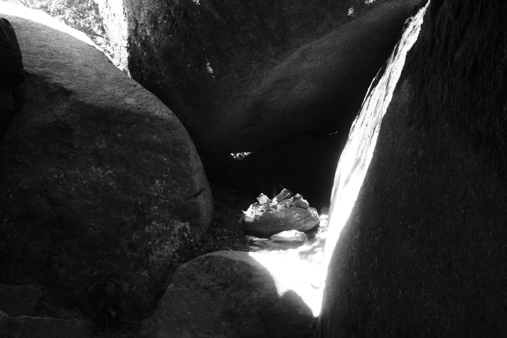 巨岩の間の石の花