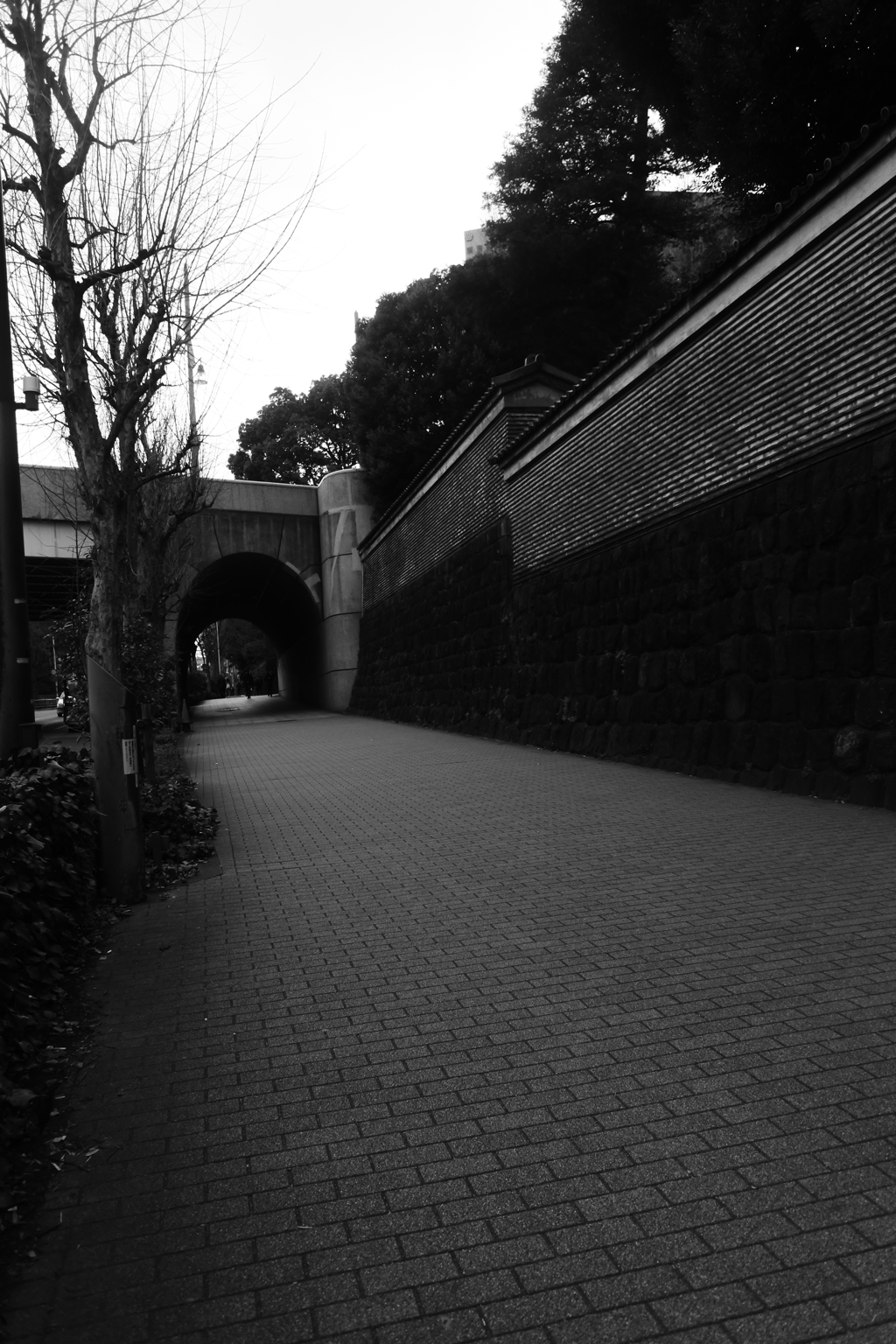 聖橋への坂道　