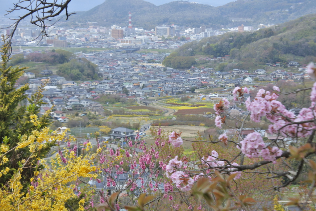花見山公園からの眺め