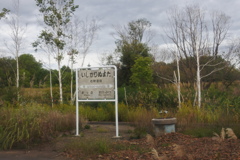 いしかりぬまた