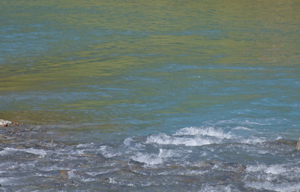 青い池方面巡り　美瑛川