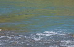 青い池方面巡り　美瑛川