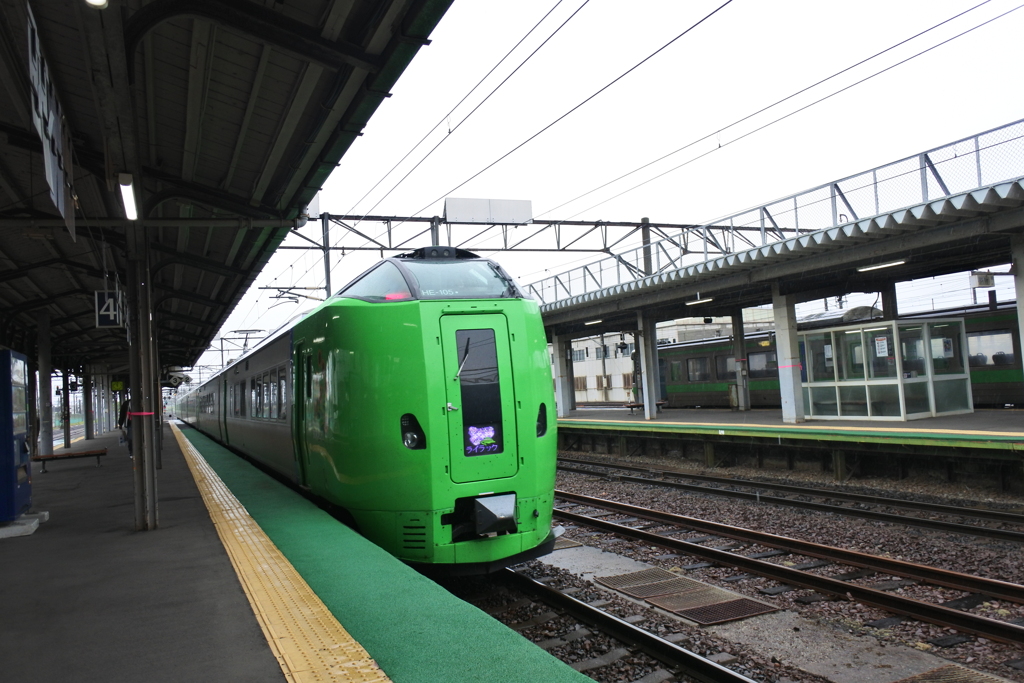 ライラックにこだわって