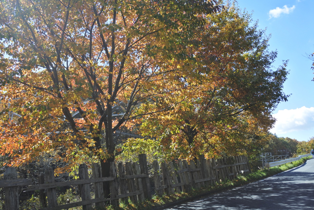 線路わきの道を登って、追分宿へ