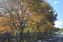 線路わきの道を登って、追分宿へ