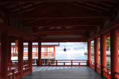 早朝の厳島神社１