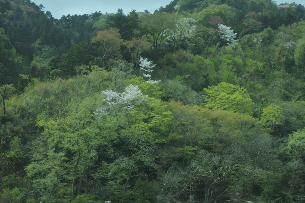 桃源郷への旅～車窓１