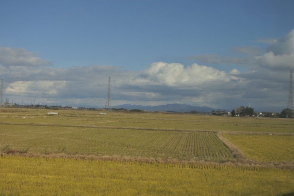 穀倉地帯