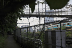 紫陽花の小道　JR京浜東北線