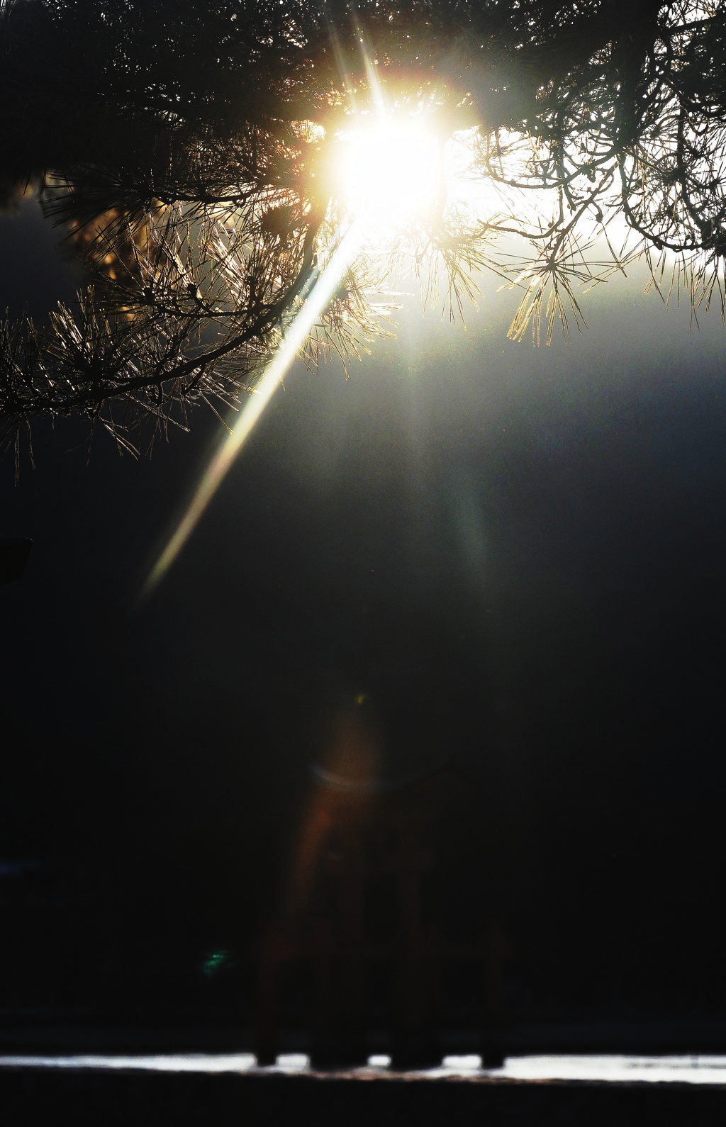 宿のカフェから