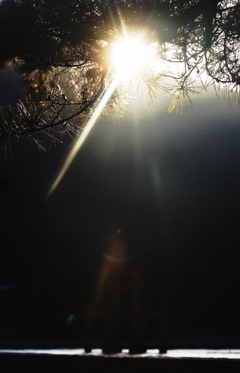 宿のカフェから