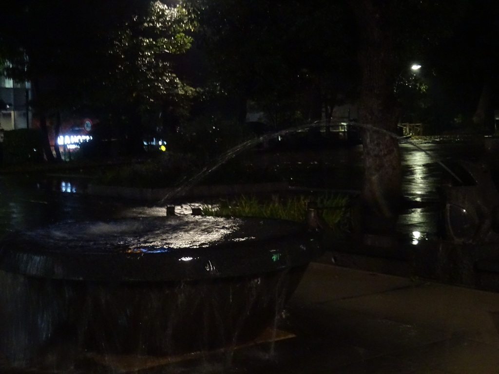 上野公園　夜の噴水
