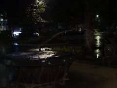 上野公園　夜の噴水