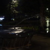上野公園　夜の噴水
