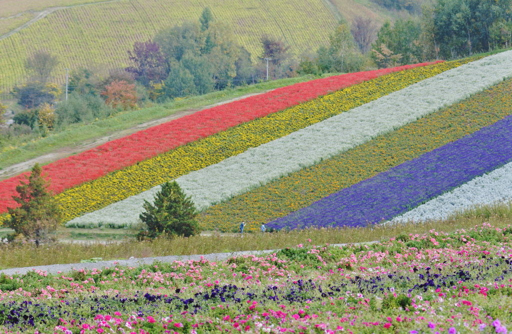 四季彩の丘～記念撮影