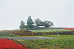 かんのファーム