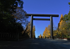 靖国神社の銀杏