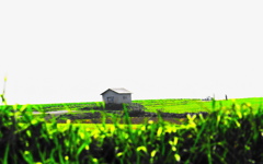 小さな小屋とカメラマン