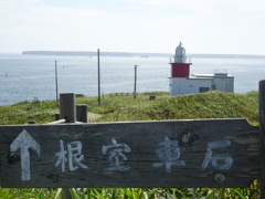花咲灯台