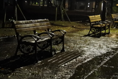 上野公園　雨夜の灯りの下