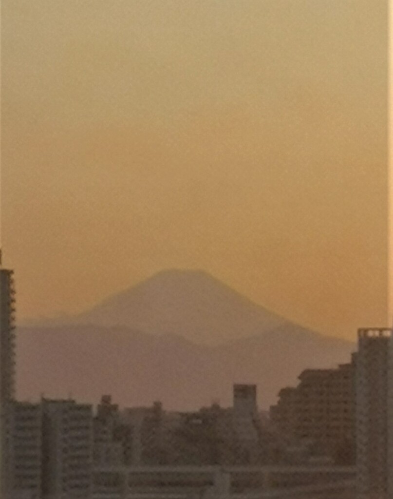 踊り場から～富士山