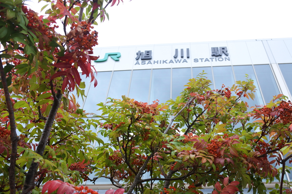 駅前公園散策 by 山菜シスターズ (ID:11305697) 写真共有サイトPHOTOHITO