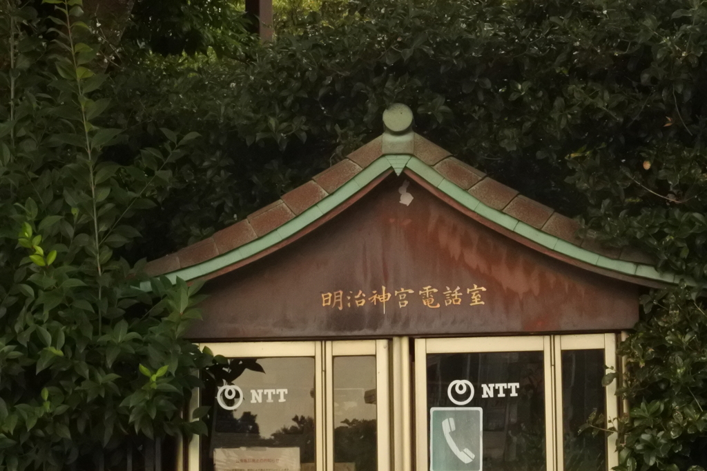 ひっそりと・・・