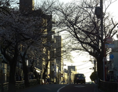 夕暮れ時　