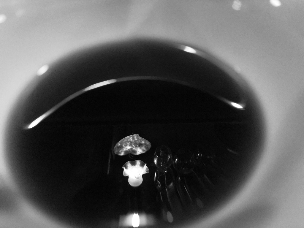 カップの中の灯り