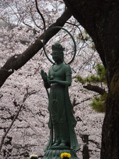 観音様の見守る中で