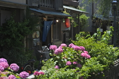 ペリーロードをご一緒に　赤ちょうちん