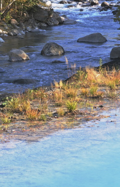 ブルーリバーと青い池