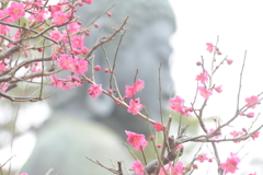 梅と大仏