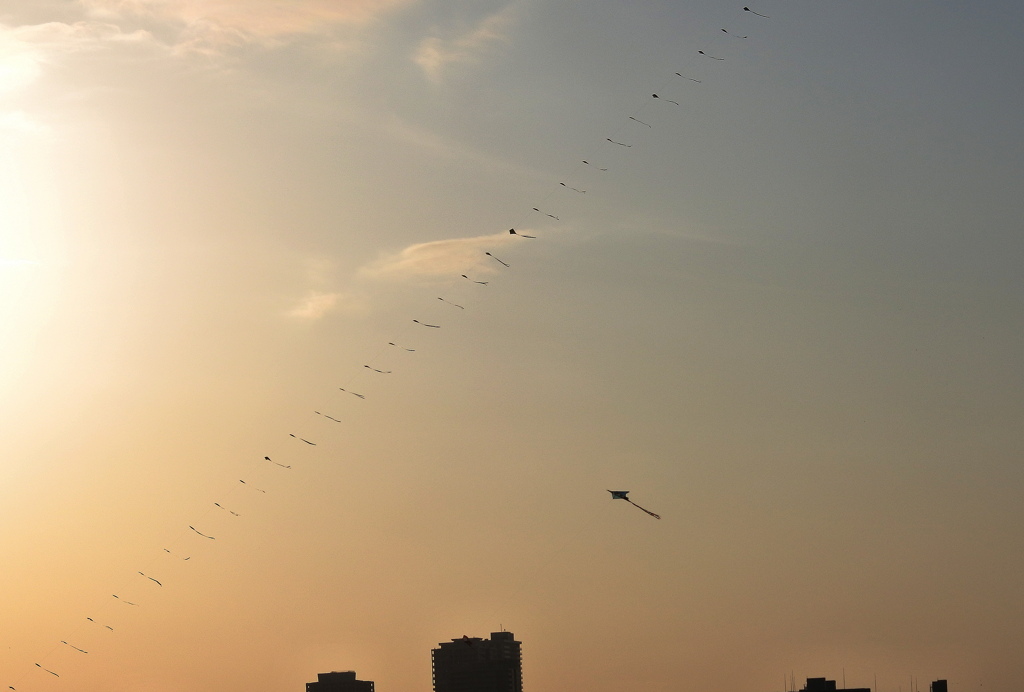 荒川にあがる凧