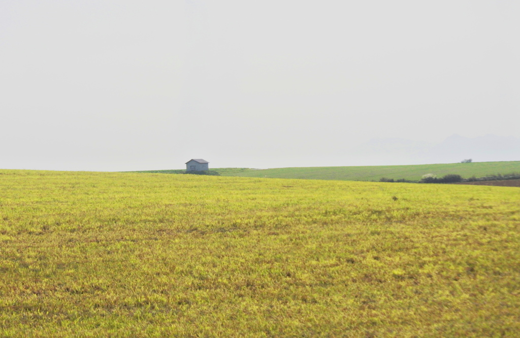 小さな小屋のある風景