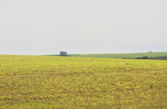 小さな小屋のある風景