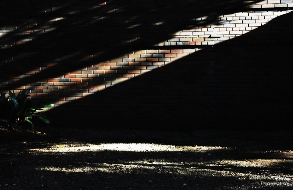 自転車置き場に走る光