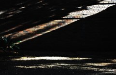 自転車置き場に走る光