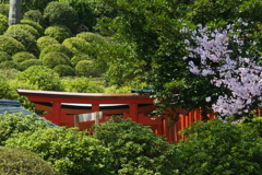 根津神社